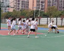 国际篮球比赛中，豪强争霸，争夺冠军的简单介绍