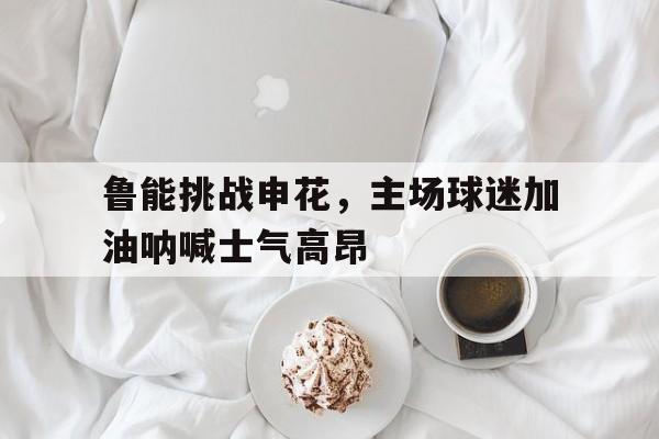 鲁能挑战申花，主场球迷加油呐喊士气高昂的简单介绍