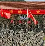 备战状态被公开揭露，备战进程备受争议